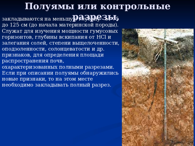 Полуямы или контрольные разрезы, закладываются на меньшую глубину - от 75 до 125 см (до начала материнской породы). Служат для изучения мощности гумусовых горизонтов, глубины вскипания от HCl и залегания солей, степени выщелоченности, оподзоленности, солонцеватости и др. признаков, для определения площади распространения почв, охарактеризованных полными разрезами. Если при описании полуямы обнаружились новые признаки, то на этом месте необходимо закладывать полный разрез. 