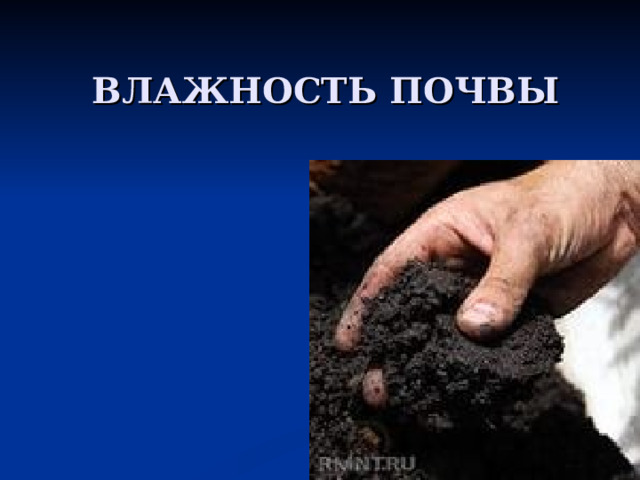 ВЛАЖНОСТЬ ПОЧВЫ 