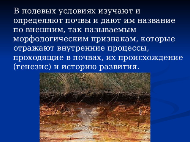 В полевых условиях изучают и определяют почвы и дают им название по внешним, так называемым морфологическим признакам, которые отражают внутренние процессы, проходящие в почвах, их происхождение (генезис) и историю развития. 