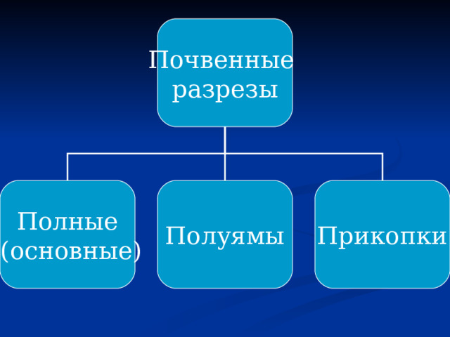 Почвенные разрезы Полные  (основные) Полуямы Прикопки 