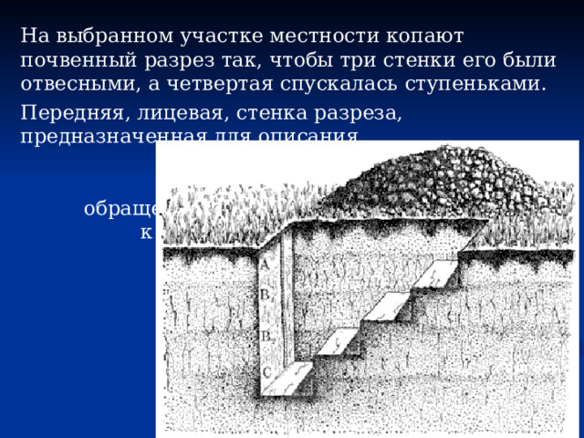 На выбранном участке местности копают почвенный разрез так, чтобы три стенки его были отвесными, а четвертая спускалась ступеньками. Передняя, лицевая, стенка разреза, предназначенная для описания, должна быть обращена к солнцу. 