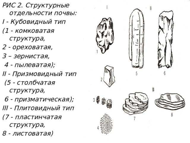 РИС 2. Структурные отдельности почвы: I - Кубовидный тип (1 - комковатая структура, 2 - ореховатая, 3 – зернистая,  4 - пылеватая); II - Призмовидный тип  (5 - столбчатая структура,  6 - призматическая); III - Плитовидный тип (7 - пластинчатая структура, 8 - листоватая)  