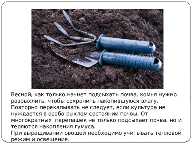 Весной, как только начнет подсыхать почва, комья нужно разрыхлить, чтобы сохранить накопившуюся влагу. Повторно перекапывать не следует, если культура не нуждается в особо рыхлом состоянии почвы. От многократных  перепашек не только подсыхает почва, но и теряются накопления гумуса. При выращивании овощей необходимо учитывать тепловой режим и освещение. 