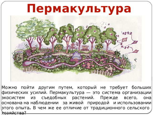 Пермакультура Можно пойти другим путем, который не требует больших физических усилий. Пермакультура — это система организации экосистем из съедобных растений. Прежде всего, она основана на наблюдении за живой природой и использовании этого опыта . В чем же ее отличие от традиционного сельского хозяйства? 