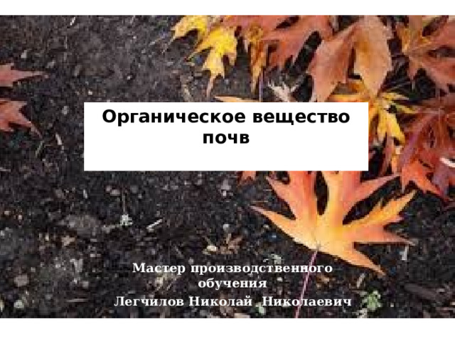 Органическое вещество почв   Мастер производственного обучения Легчилов Николай Николаевич 