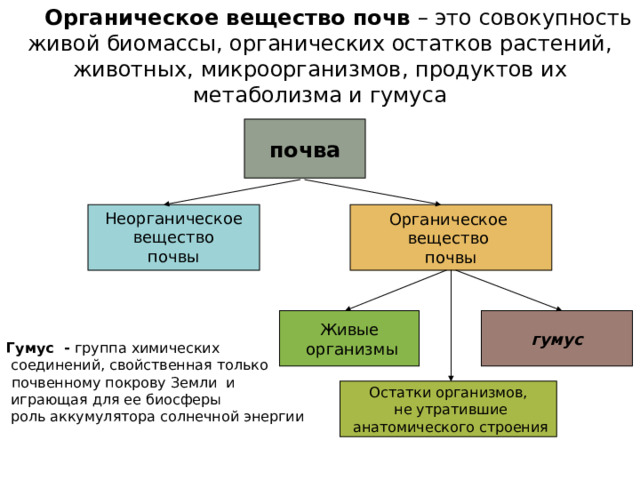  Органическое вещество почв – это совокупность живой биомассы, органических остатков растений, животных, микроорганизмов, продуктов их метаболизма и гумуса  почва Органическое вещество почвы Неорганическое  вещество почвы Гумус - группа химических  соединений, свойственная только   почвенному покрову Земли и  играющая для ее биосферы  роль аккумулятора солнечной энергии Живые  организмы гумус Остатки организмов,  не утратившие  анатомического строения 