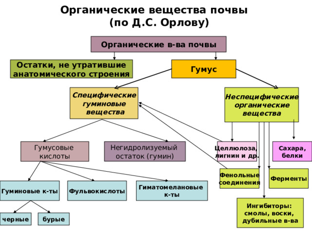 Органические вещества почвы  (по Д.С. Орлову) Органические в-ва почвы Гумус Остатки, не утратившие анатомического строения Неспецифические органические вещества Специфические гуминовые  вещества Сахара, белки Целлюлоза, лигнин и др. Негидролизуемый остаток (гумин) Гумусовые кислоты Ферменты Фенольные соединения Гуминовые к-ты Гиматомелановые к-ты Фульвокислоты Ингибиторы: смолы, воски, дубильные в-ва черные бурые 