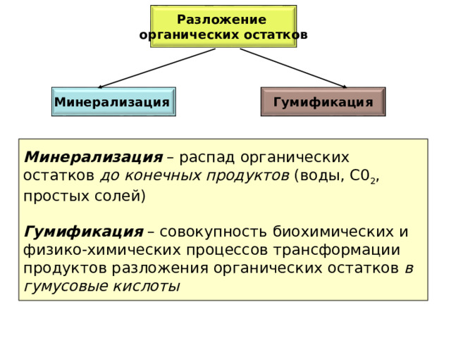 Разложение органических остатков Минерализация  Гумификация  Минерализация  – распад органических остатков до конечных продуктов (воды, С0 2 , простых солей)   Гумификация  – совокупность биохимических и физико-химических процессов трансформации продуктов разложения органических остатков в гумусовые кислоты   