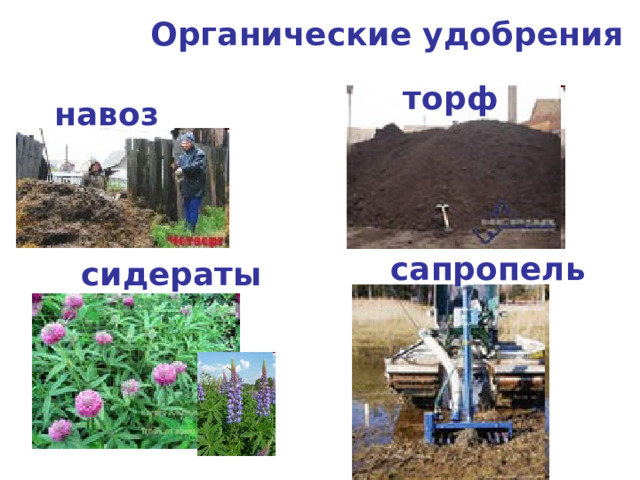 Органические удобрения  торф навоз сапропель сидераты 