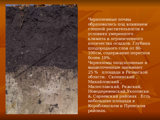 Черноземные почвы образовались под влиянием степной растительности в условиях умеренного климата и ограниченного количества осадков. Глубина плодородного слоя от 80-100см, содержание перегноя более 10%. Черноземы оподзоленные и выщелоченные занимают 25 % площади в Рязанской области. Скопинский , Михайловский , Милославский, Ряжский, Новодеревенский,Ухоловский, Сараевский районах . Есть небольшие площади в Кораблинском и Пронском районах. 