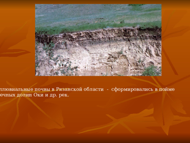 Аллювиальные почвы в Рязанской области - сформировались в пойме  речных долин Оки и др. рек. 