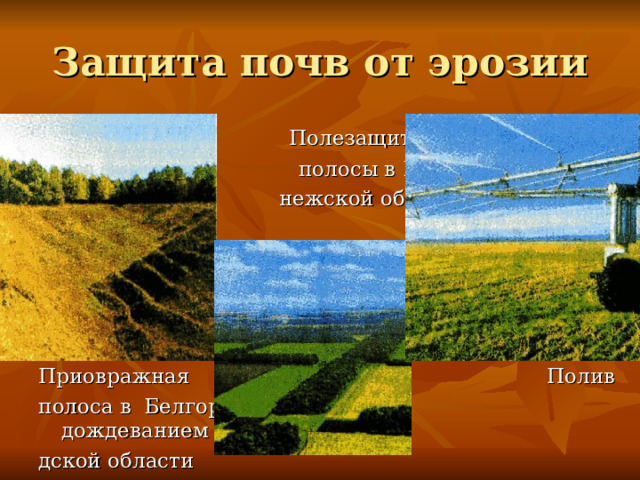 Защита почв от эрозии  Полезащитные  полосы в Воро-  нежской области Приовражная Полив полоса в Белгоро- дождеванием дской области 