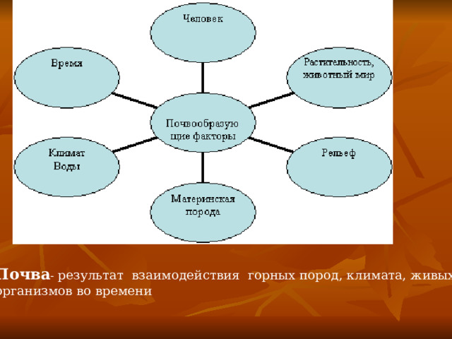 Почва - результат взаимодействия горных пород, климата, живых организмов во времени 