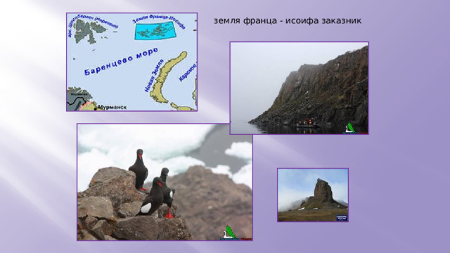 земля франца - исоифа заказник 
