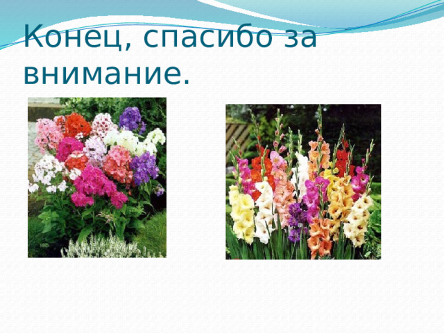 Конец, спасибо за внимание. 