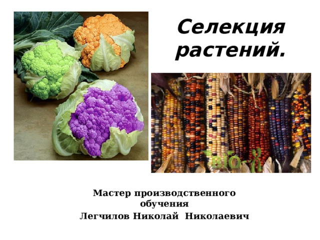 Селекция растений. Мастер производственного обучения Легчилов Николай Николаевич 
