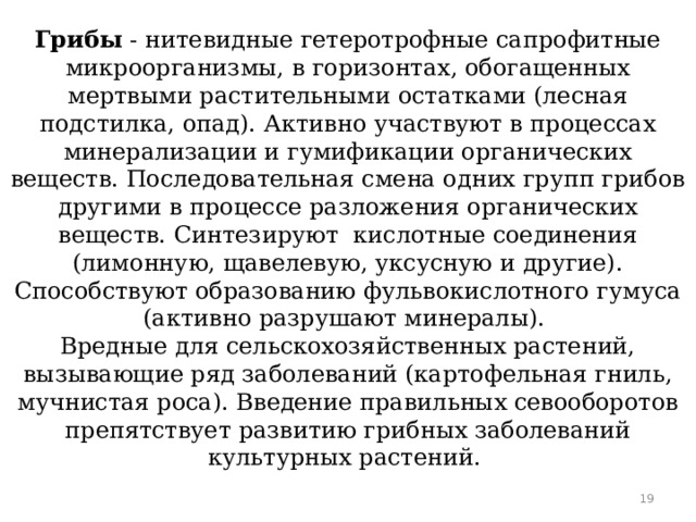 Грибы - нитевидные гетеротрофные сапрофитные микроорганизмы, в горизонтах, обогащенных мертвыми растительными остатками (лесная подстилка, опад). Активно участвуют в процессах минерализации и гумификации органических веществ. Последовательная смена одних групп грибов другими в процессе разложения органических веществ. Синтезируют кислотные соединения (лимонную, щавелевую, уксусную и другие). Способствуют образованию фульвокислотного гумуса (активно разрушают минералы).  Вредные для сельскохозяйственных растений, вызывающие ряд заболеваний (картофельная гниль, мучнистая роса). Введение правильных севооборотов препятствует развитию грибных заболеваний культурных растений.    