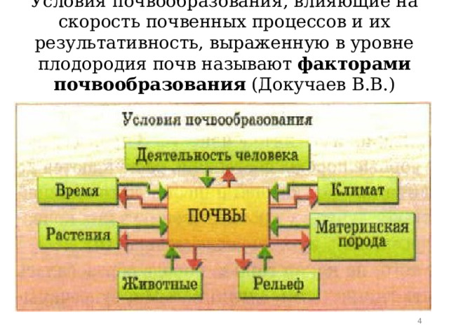 Условия почвообразования, влияющие на скорость почвенных процессов и их результативность, выраженную в уровне плодородия почв  называют факторами почвообразования (Докучаев В.В.)  