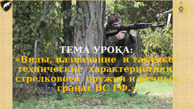             ТЕМА УРОКА:  «Виды, назначение и тактико- технические характеристики стрелкового оружия и ручных гранат ВС РФ.» 