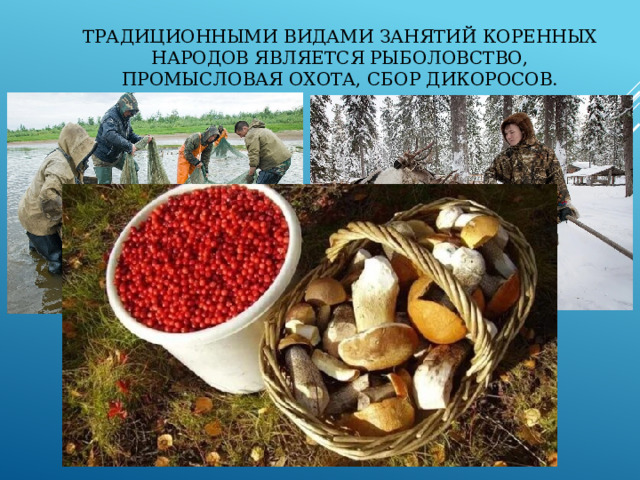 Традиционными видами занятий коренных народов является рыболовство, промысловая охота, сбор дикоросов.   