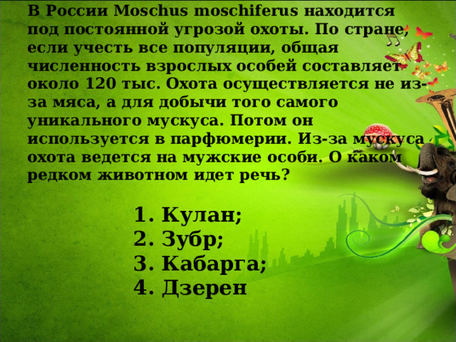 В России Moschus moschiferus находится под постоянной угрозой охоты. По стране, если учесть все популяции, общая численность взрослых особей составляет около 120 тыс. Охота осуществляется не из-за мяса, а для добычи того самого уникального мускуса. Потом он используется в парфюмерии. Из-за мускуса охота ведется на мужские особи. О каком редком животном идет речь?   1. Кулан;  2. Зубр;  3. Кабарга;  4. Дзерен   