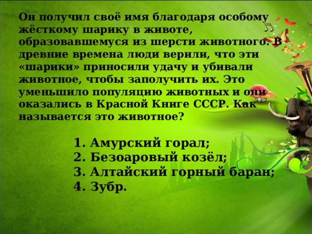 Он получил своё имя благодаря особому жёсткому шарику в животе, образовавшемуся из шерсти животного. В древние времена люди верили, что эти «шарики» приносили удачу и убивали животное, чтобы заполучить их. Это уменьшило популяцию животных и они оказались в Красной Книге СССР. Как называется это животное?   1. Амурский горал;  2. Безоаровый козёл;  3. Алтайский горный баран;  4. Зубр.   