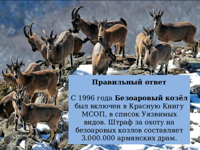 Правильный ответ   С 1996 года Безоаровый козёл был включен в Красную Книгу МСОП, в список Уязвимых видов. Штраф за охоту на безоаровых козлов составляет 3.000.000 армянских драм. 