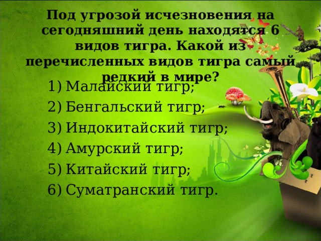 Под угрозой исчезновения на сегодняшний день находятся 6 видов тигра. Какой из перечисленных видов тигра самый редкий в мире? Малайский тигр; Бенгальский тигр; Индокитайский тигр; Амурский тигр; Китайский тигр; Суматранский тигр. 