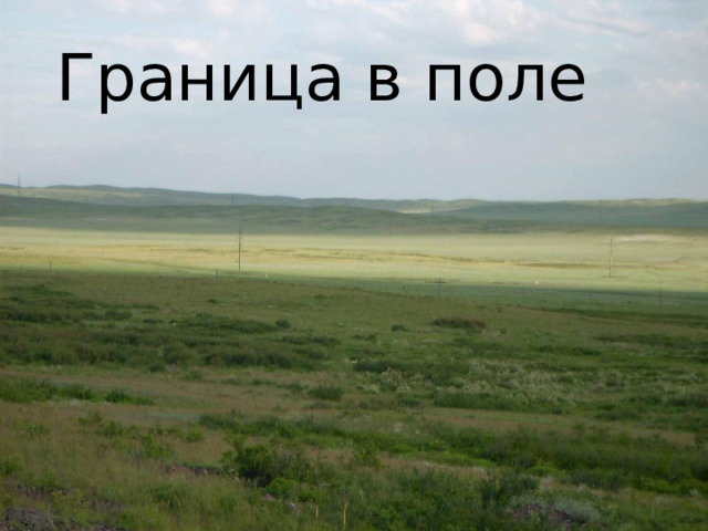 Граница в поле  