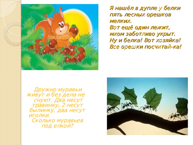 Я нашёл в дупле у белки пять лесных орешков мелких.  Вот ещё один лежит, мхом заботливо укрыт.  Ну и белка! Вот хозяйка!  Все орешки посчитай-ка!  Дружно муравьи живут и без дела не снуют. Два несут травинку, 2 несут былинку, два несут иголки. Сколько муравьев под елкой? 