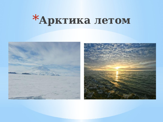Арктика летом 