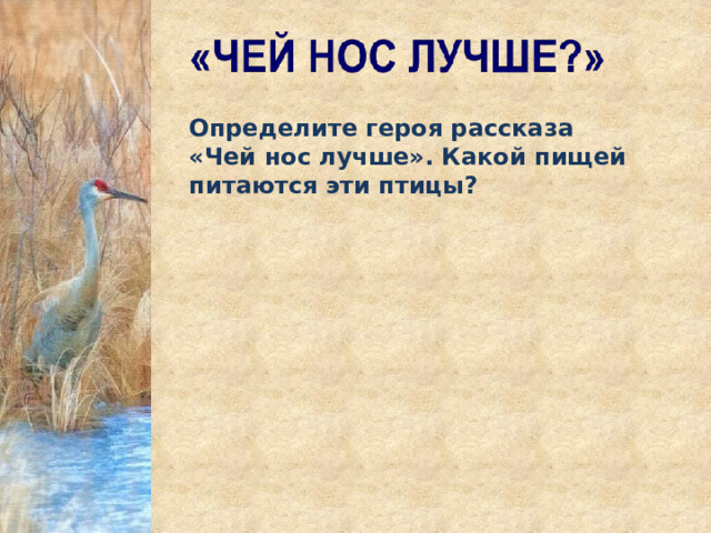 Определите героя рассказа «Чей нос лучше». Какой пищей питаются эти птицы? 
