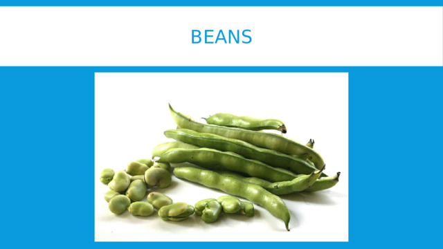 Beans 