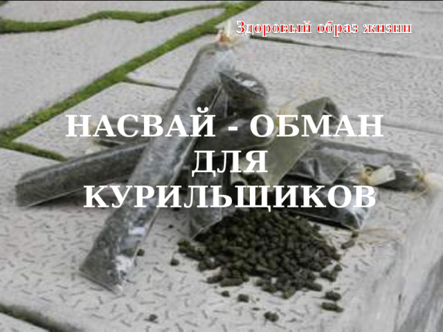НАСВАЙ - ОБМАН ДЛЯ КУРИЛЬЩИКОВ   