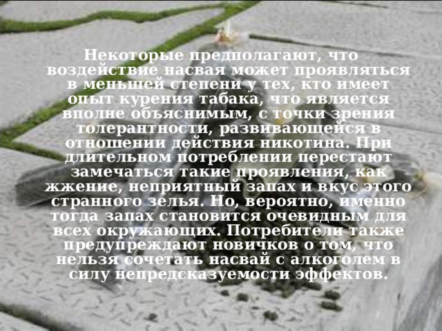   Некоторые предполагают, что воздействие насвая может проявляться в меньшей степени у тех, кто имеет опыт курения табака, что является вполне объяснимым, с точки зрения толерантности, развивающейся в отношении действия никотина. При длительном потреблении перестают замечаться такие проявления, как жжение, неприятный запах и вкус этого странного зелья. Но, вероятно, именно тогда запах становится очевидным для всех окружающих. Потребители также предупреждают новичков о том, что нельзя сочетать насвай с алкоголем в силу непредсказуемости эффектов.  