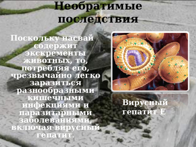 Необратимые последствия   Поскольку насвай содержит экскременты животных, то, потребляя его, чрезвычайно легко заразиться разнообразными кишечными инфекциями и паразитарными заболеваниями, включая вирусный гепатит . Вирусный гепатит E 
