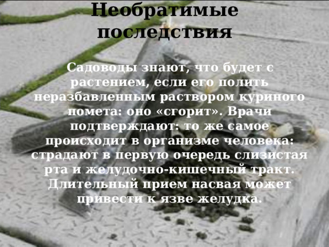 Необратимые последствия    Садоводы знают, что будет с растением, если его полить неразбавленным раствором куриного помета: оно «сгорит». Врачи подтверждают: то же самое происходит в организме человека: страдают в первую очередь слизистая рта и желудочно-кишечный тракт. Длительный прием насвая может привести к язве желудка.  