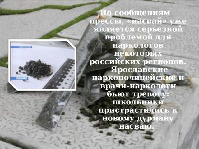По сообщениям прессы, «насвай» уже является серьезной проблемой для наркологов некоторых российских регионов. Ярославские наркополицейские и врачи-наркологи бьют тревогу: школьники пристрастились к новому дурману насваю. 