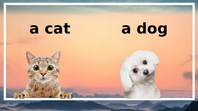 a cat a dog 