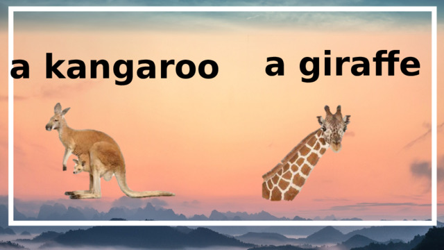a giraffe a kangaroo 