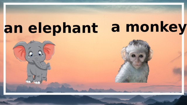 a monkey an elephant 