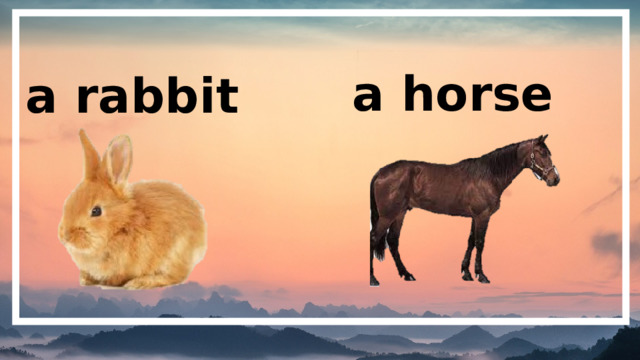 a horse a rabbit 