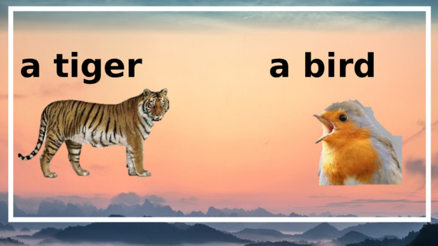 a tiger a bird 