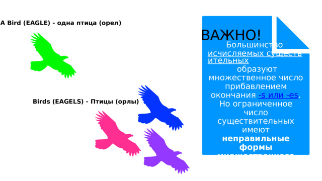 A Bird (EAGLE) - одна птица (орел) ВАЖНО! Большинство исчисляемых существительных образуют множественное число прибавлением окончания -s или -es . Но ограниченное число существительных имеют неправильные формы множественного числа . Birds (EAGELS) - Птицы (орлы) 
