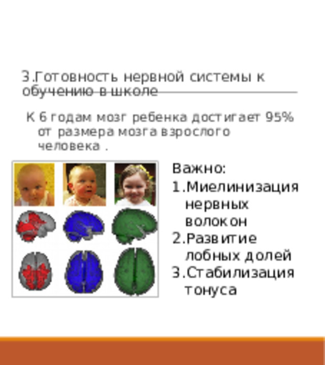 3.Готовность нервной системы к обучению в школе К 6 годам мозг ребенка достигает 95% от размера мозга взрослого человека . Важно: Миелинизация нервных волокон Развитие лобных долей Стабилизация тонуса 