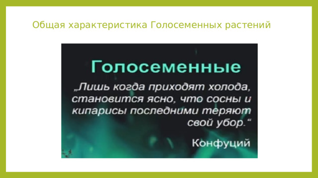 Общая характеристика Голосеменных растений 