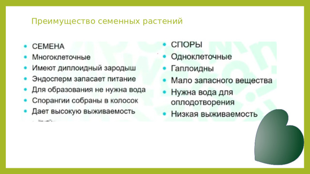 Преимущество семенных растений 