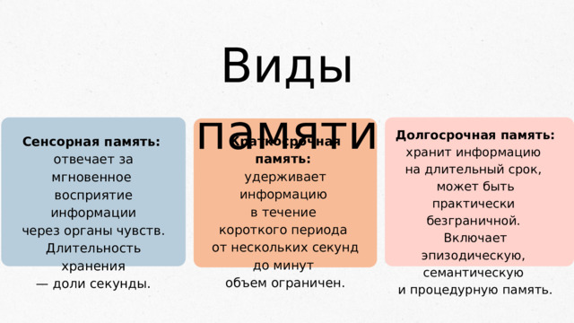 Виды памяти Долгосрочная память: хранит информацию на длительный срок, может быть практически безграничной. Включает эпизодическую, семантическую и процедурную память. Краткосрочная память:  удерживает информацию в течение короткого периода  от нескольких секунд до минут объем ограничен. Сенсорная память:  отвечает за мгновенное восприятие информации  через органы чувств. Длительность хранения — доли секунды. 