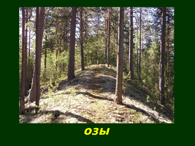 озы 