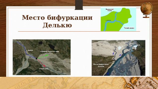 Место бифуркации Делькю 